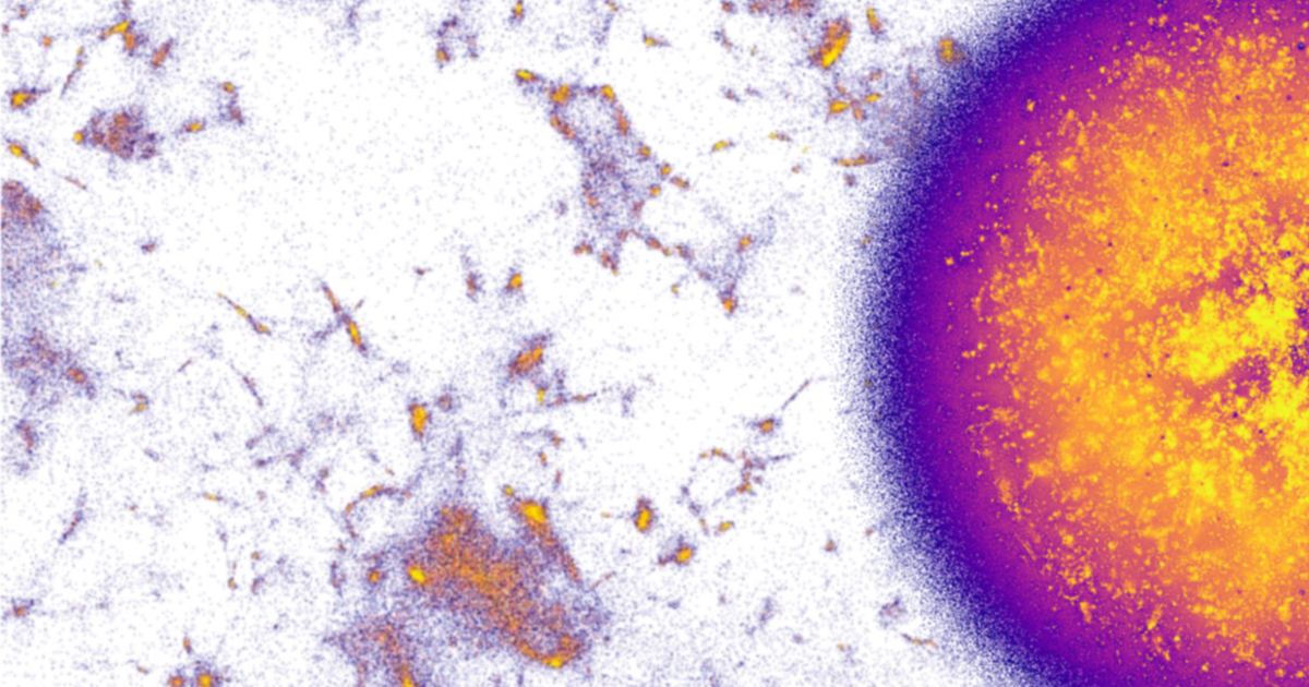 Nomic AI’s NOMAD Projection uses Enterprise Datasets to Visually Map Multilingual Wikipedia