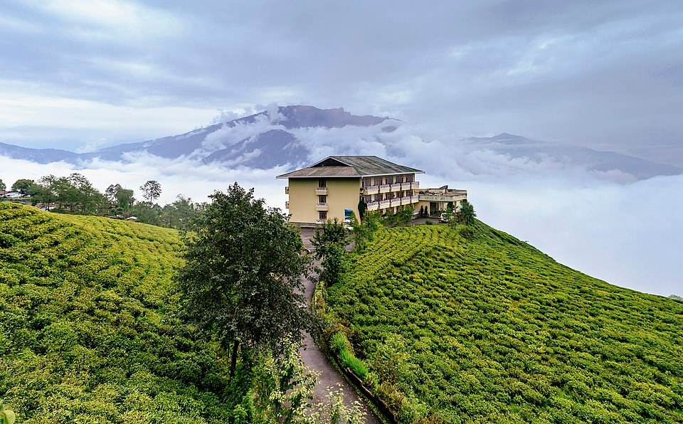 A multi-storied house sits amid green tea plantations , with a road leading to the building and cloud-dappled mountains in the background.